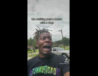 Collab ClipsIG - Me walking past a house with a dog 