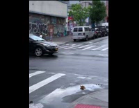 Woman waves stick out of car 
