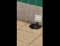 Black goo coming out from subway vent