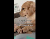 Clingy dog holds mom hand to sleep