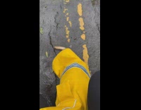 Golden retriever puppy wears yellow raincoat outside 