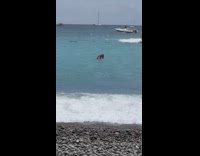 Woman in bikini swims with an action camera