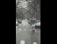 Man Holds Umbrella as it Rides Motorcycle