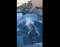 Pokemon lapras pool floatie 