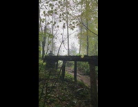 Man on Mountain Bike Falls off Trail