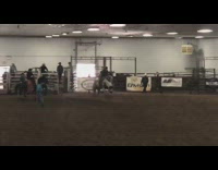 Cowboy rides bucking horse in rodeo, gets thrown off and scorpions hard in dirt arena