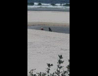 Yellow hat pink bikini girl beach seagulls