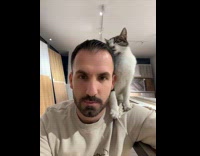 Collab PLC - Stray cat trusts man thats been feeding him