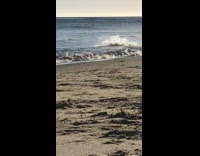 MUSIC Sunset boogie board guy hits wave and falls into water