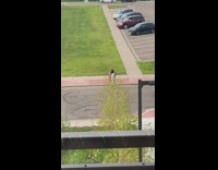 Girl white shirt dance tiktok  hydrant