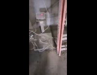 Collab BitchIG2 - Guy steps on scale numbers break and show E