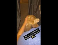 Collab BitchMP - Holding up cat hugs stretches