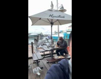 Seagulls swarms man eating at restaurant