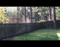 Wood fence hit by sunlight release vapor