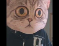 Huge cat head mask scares black cat