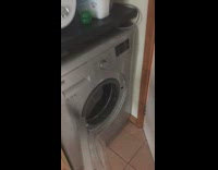 Cat runs inside washing machine like treadmill 