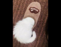 White kitten tries to fit inside slipper