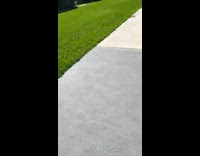 Guy scolds dog for peeing on ball 