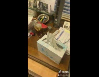 Collab BitchMP - Guy rubs dads bald head