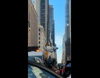 Luxury ostrich hanging at crane on street