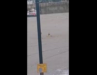 Black leggings girl dance splits leg kicks 