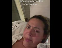 Grey cat on woman too nice 