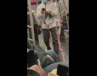 Pink dog walks out of train 