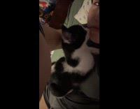 Cat on chest lick woman on face