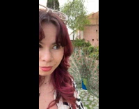 Peacock trying to attract woman as mate