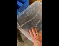 Lady Catches Cat Eat Snacks Inside Container