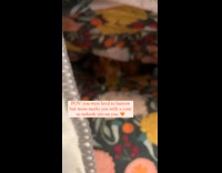 Lady Checks Dachshund Under Pillow and Blanket