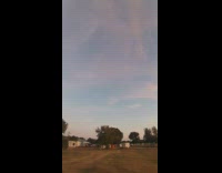 Mosquitos reacting to human sounds