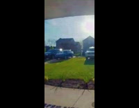 Dog run leash tangled with box