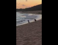 IITW - girl beach sunset photoshoot