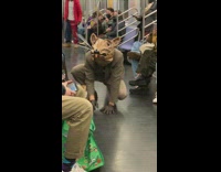 Guy rat costume mask crawls across subway 