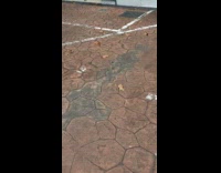 Small dust tornado forms on the ground