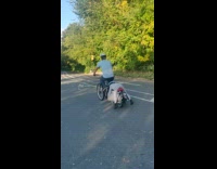 Dad pedals bicycle while kid lays on seat