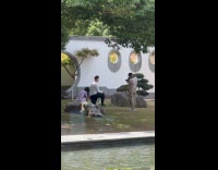 Couple scripted proposal photoshoot outside the hotel