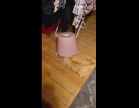 Cat hiding inside laundry basket