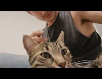 Guy pet and grab ear of cat