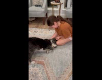 Dog loves getting ears and neck scratched