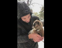 Guy makes goat noise with baby goat