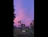 Collab Kale Salad IG -  Guy photobombs purple sunset shot