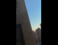 Hawk caught pigeon on the building window