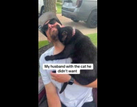 Cat clingy bunting head on mans face 