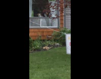 Collab BitchMP - Happy birthday wally dog banner