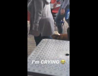 Brown dog walks by with fedora hat 