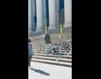 Collab WINY - Man black jacket Feeds Flocks of Pigeons Outside Museum