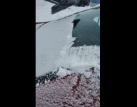 Guy brushes snow off car with broom