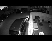 Cat falls tries to jump on wall